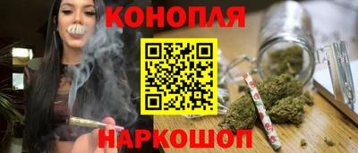 сатива Гай