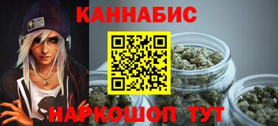 сатива Гай