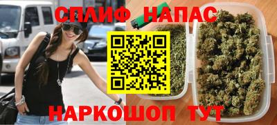 сатива Гай