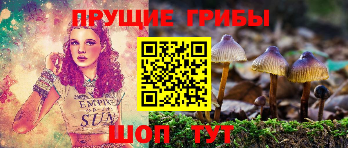 Псилоцибиновые грибы GOLDEN TEACHER  Вход с VPN  Кушва 